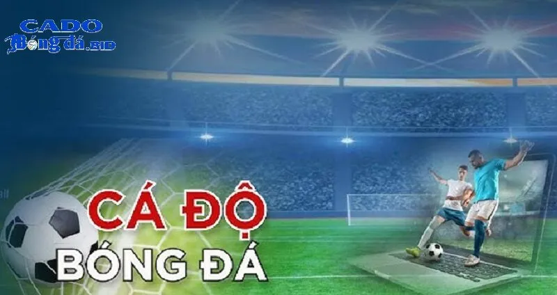 Vì sao Cá Độ Bóng Đá được đánh giá là Trang cá cược uy tín hàng đầu Việt Nam?