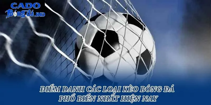 Các Loại Kèo Cá Độ Bóng Đá Hot Nhất Năm 2025