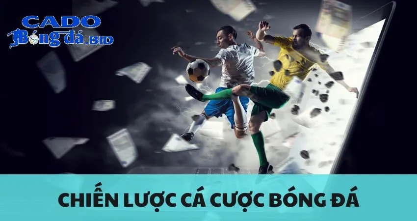 Phân Tích Các Số Liệu Cá Cược - Bí Quyết Tăng Tỷ Lệ Thắng