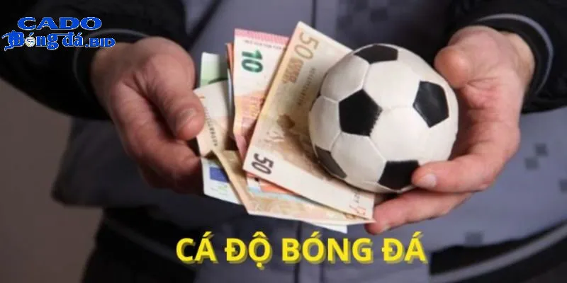 Các quy định pháp lý về cá cược có thay đổi như thế nào trong 5-10 năm tới?