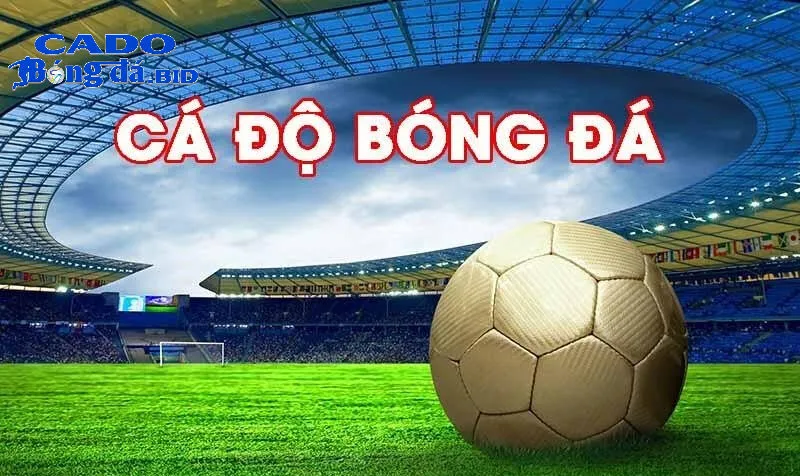 Gamification – biến cá cược thành trò chơi thú vị