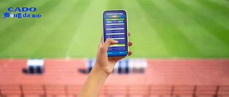 Các ứng dụng cá cược trên di động sẽ phát triển như thế nào để mang lại trải nghiệm tốt hơn cho người dùng?