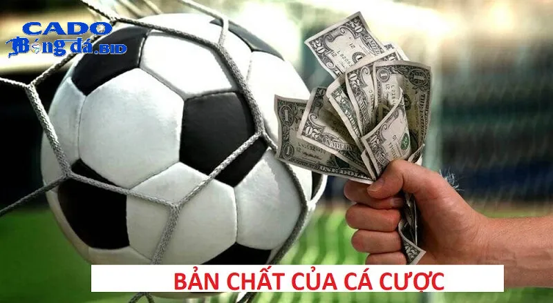 Hiểu rõ bản chất của cá cược và tâm lý người chơi