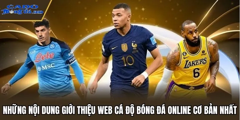 Làm sao để người chơi mới bắt đầu tham gia cá độ bóng đá online?