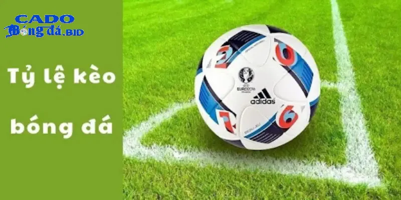 Kiến thức cơ bản – Nền tảng khi tìm hiểu cần chuẩn bị những gì khi muốn soi kèo bóng đá?