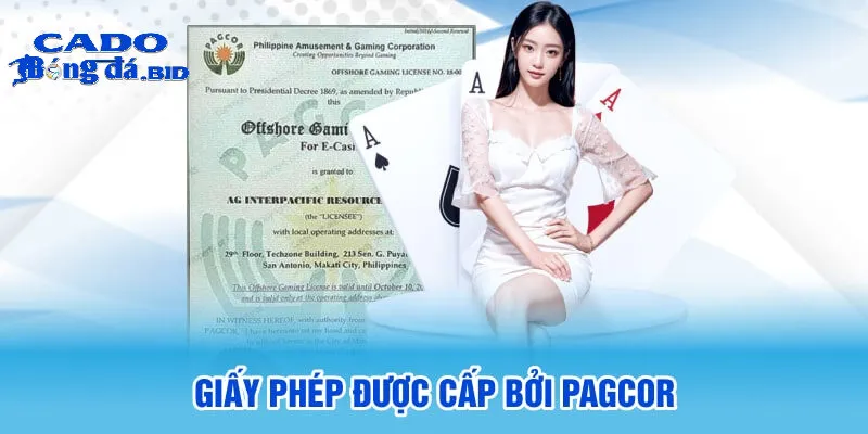 Các yếu tố quan trọng khi chọn một trang web cá cược online là gì?