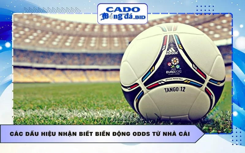 Các dấu hiệu nhận biết biến động Odds từ nhà cái