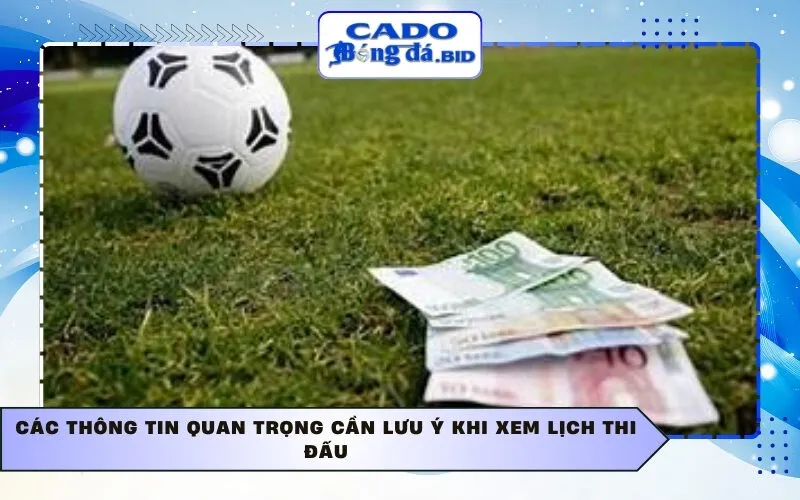 Chi tiết lịch thi đấu V-League 2026 theo từng vòng