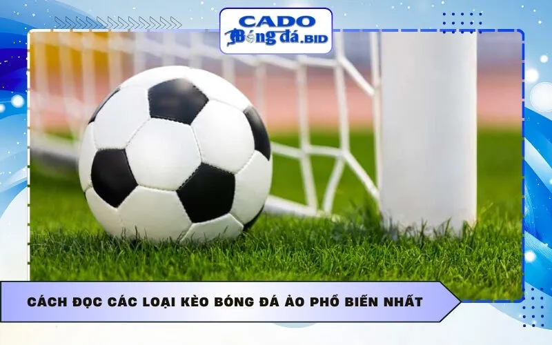 Cách đọc các loại kèo bóng đá ảo phổ biến nhất