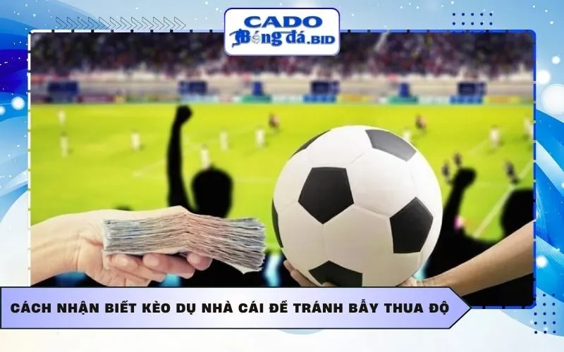 Cách nhận biết Kèo dụ nhà cái để tránh bẫy thua độ