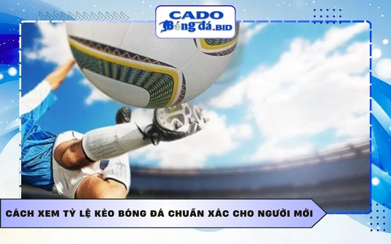 Cách xem tỷ lệ kèo bóng đá chuẩn xác cho người mới