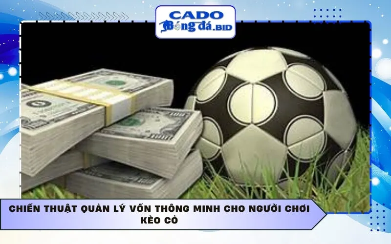 Chiến thuật quản lý vốn thông minh cho người chơi kèo cỏ