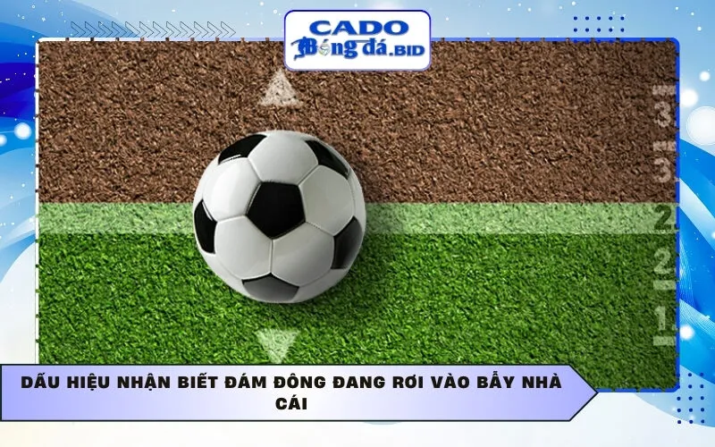 Dấu hiệu nhận biết đám đông đang rơi vào bẫy nhà cái