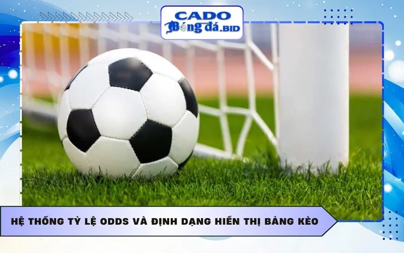 Hệ thống tỷ lệ Odds và định dạng hiển thị bảng kèo