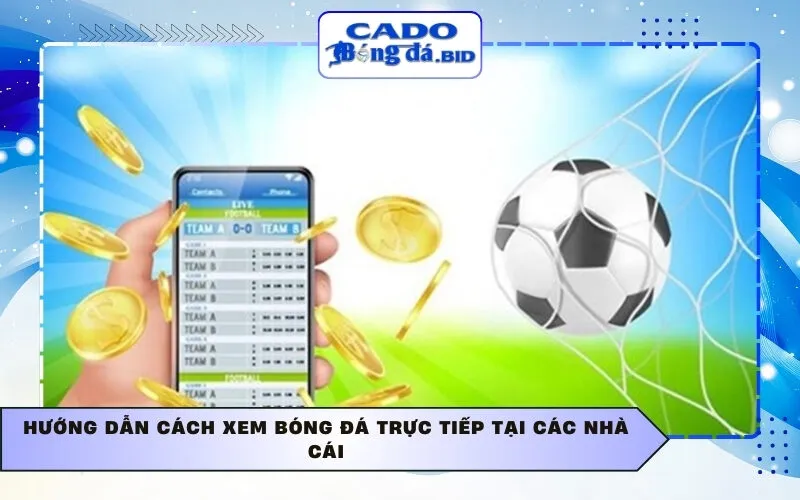 Hướng dẫn cách xem bóng đá trực tiếp tại các nhà cái