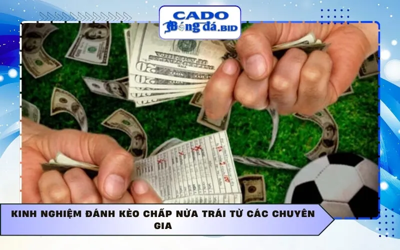 Kinh nghiệm đánh Kèo chấp nửa trái từ các chuyên gia