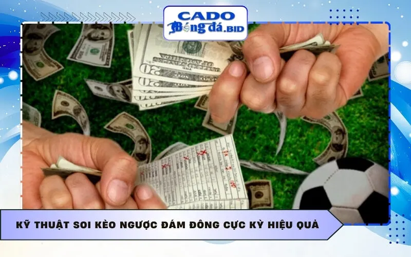 Kỹ thuật soi kèo ngược đám đông cực kỳ hiệu quả