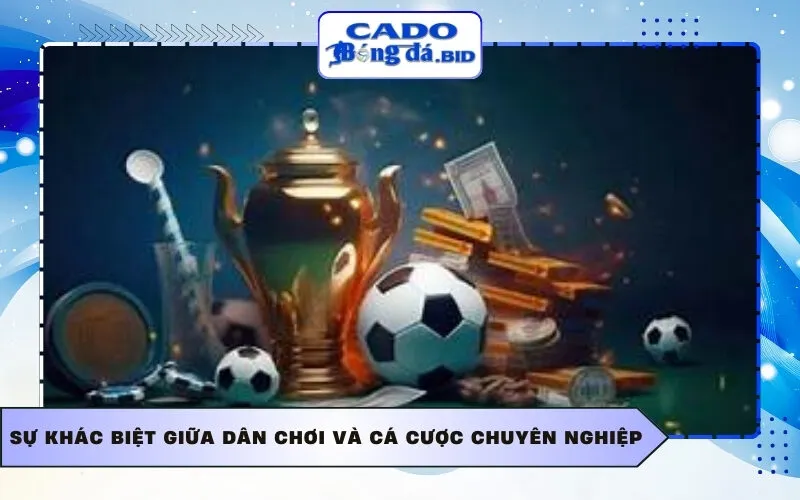 Sự khác biệt giữa dân chơi và cá cược chuyên nghiệp