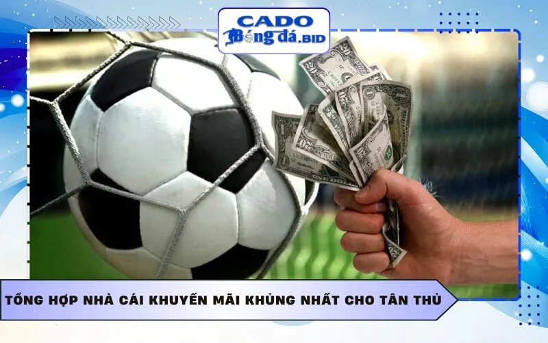 Tổng hợp nhà cái khuyến mãi khủng nhất cho tân thủ