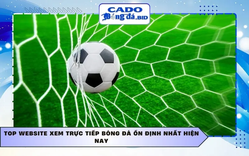 Top website xem trực tiếp bóng đá ổn định nhất hiện nay